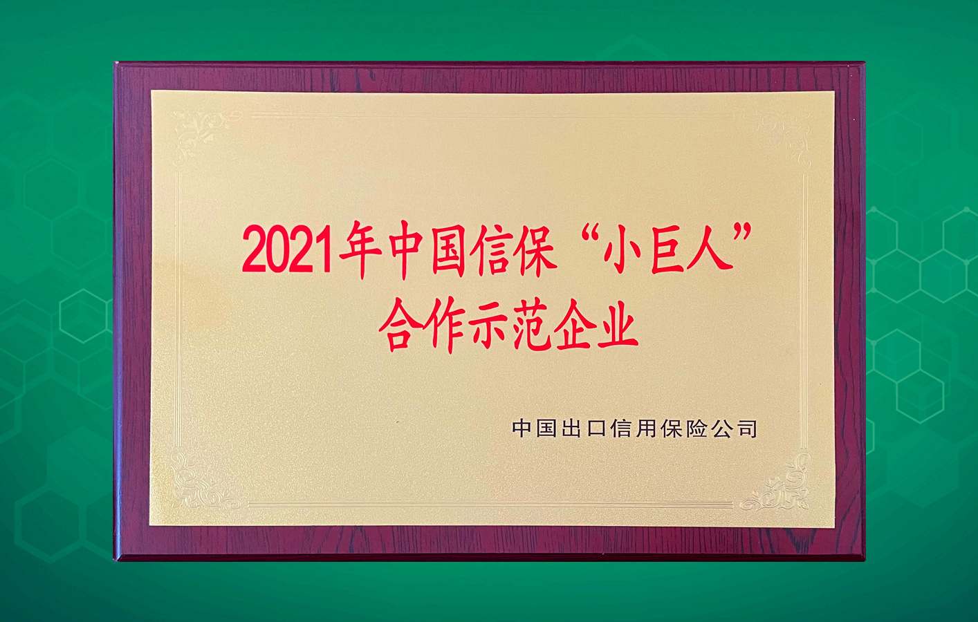 杨帆远航走向世界！华联领世荣获中国信保“小巨人”合作示范企业！